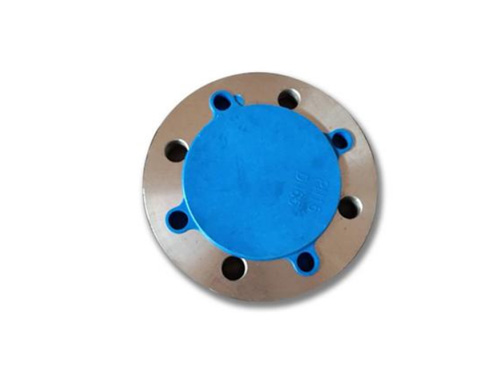 Stainless Steel Flange